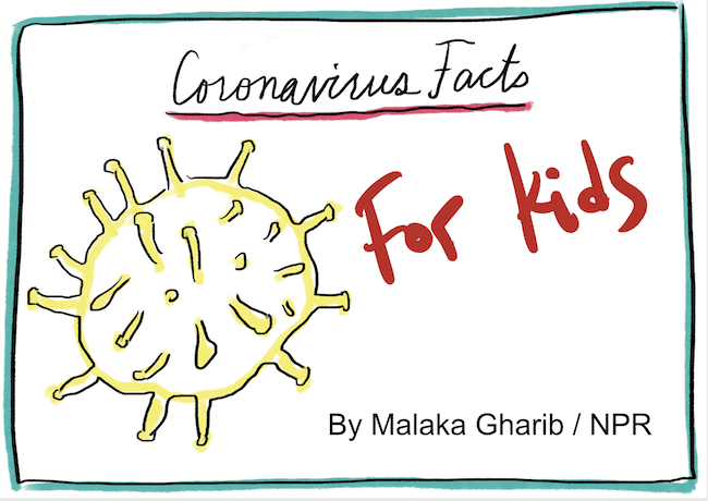 Coronavirus Kids Facts