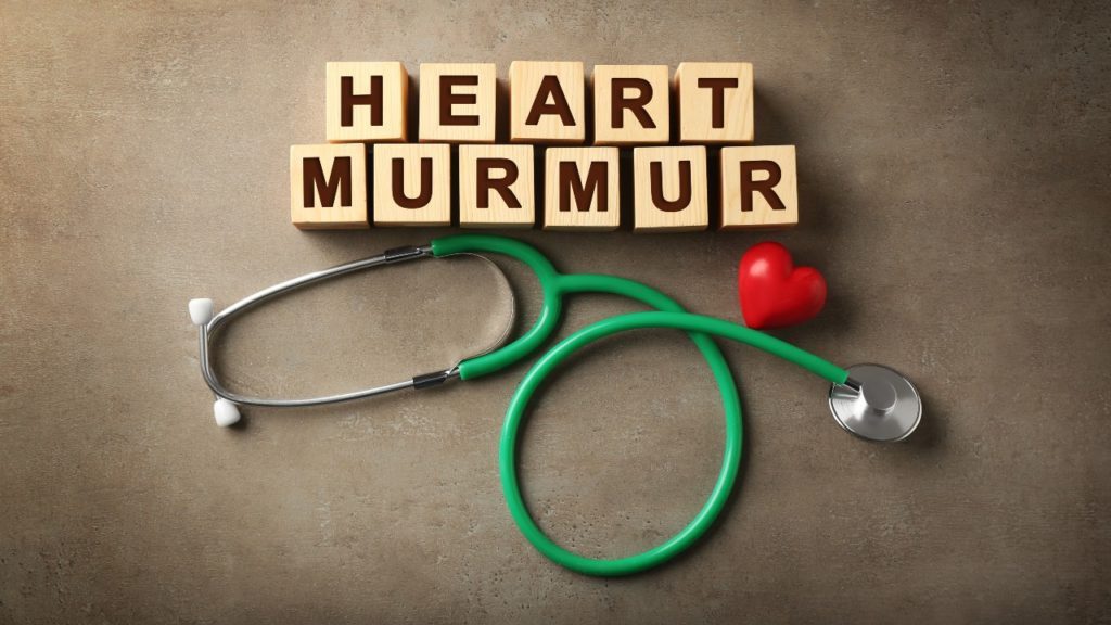 Heart Murmur, Health Channel