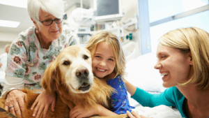 Animal Therapy & Children