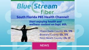 Blue Stream 300x169, Health Channel