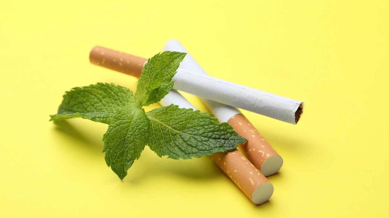 Menthol Cigarettes Are Able To Disguise Some Smoking Damage   Living Minute, Health Channel